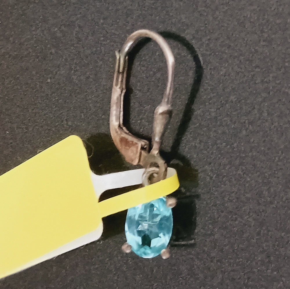 Earrings (6198)